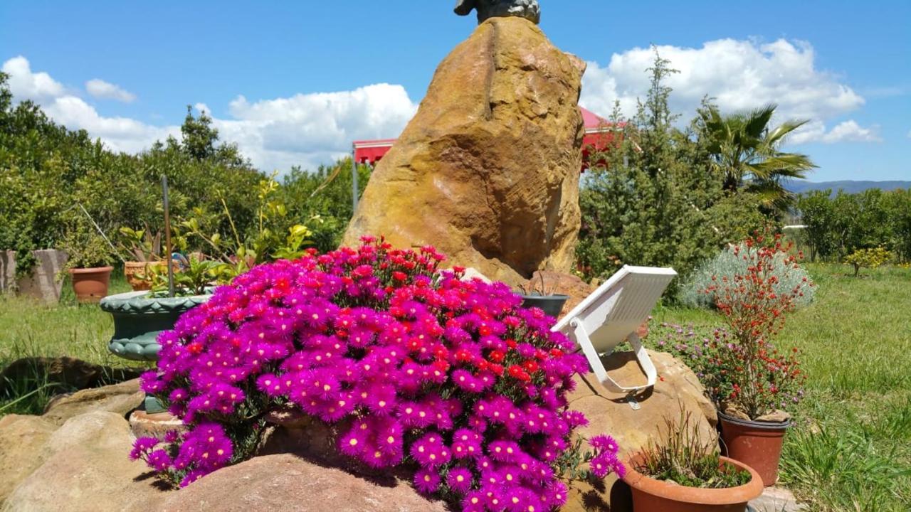 Orange Ville Villamassargia Dış mekan fotoğraf
