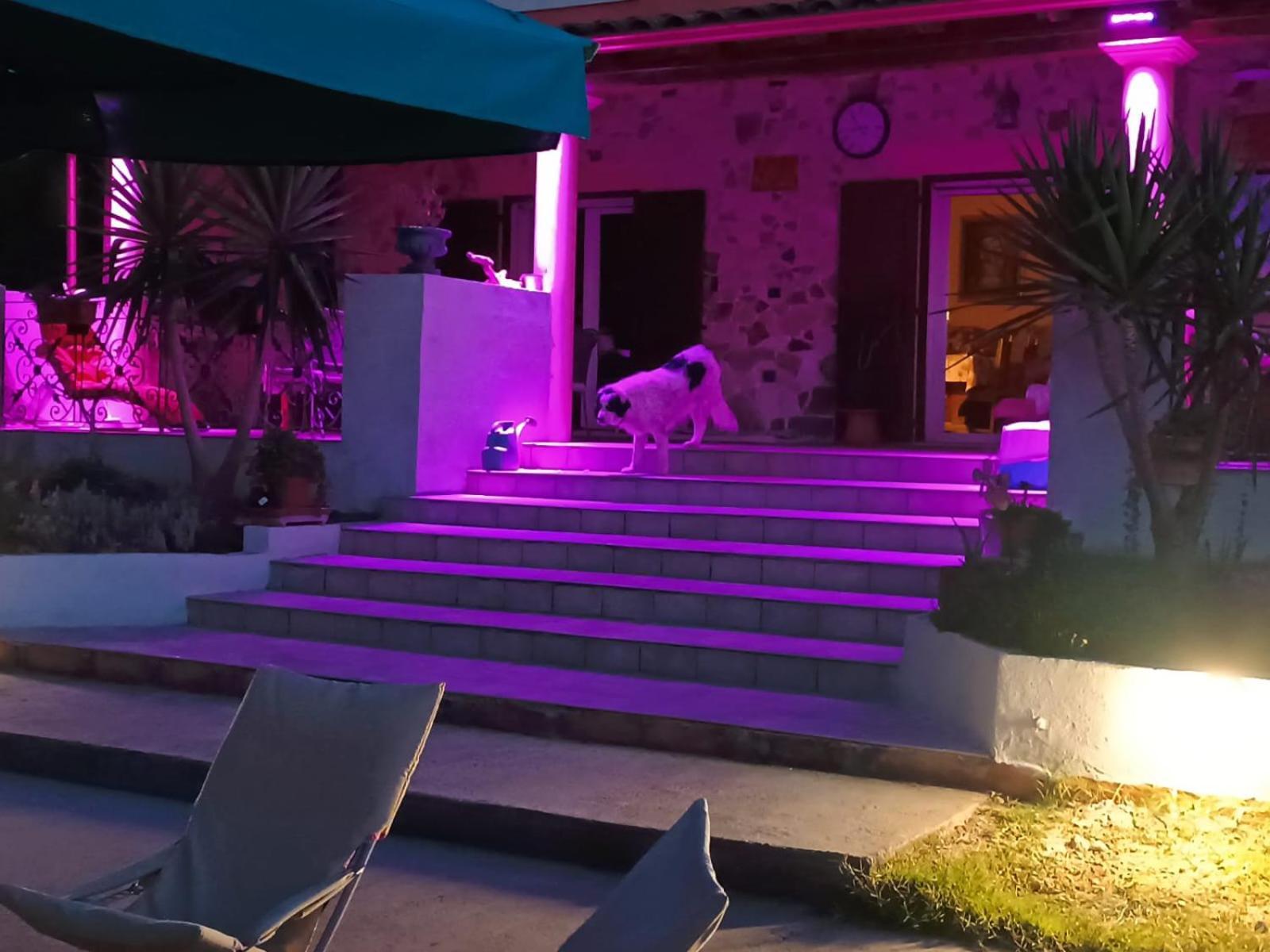 Orange Ville Villamassargia Dış mekan fotoğraf